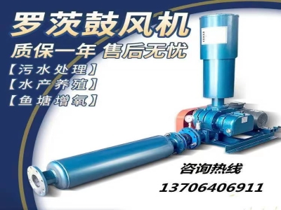 罗茨风机,理罗茨风机